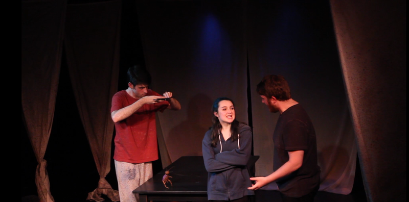 The Fairy, Cricket, and a Servant speak about Pinocchio's venture to Boobyland.