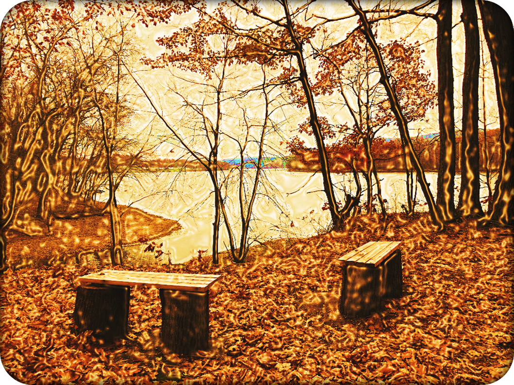 Connor and the full ensemble for his concert 