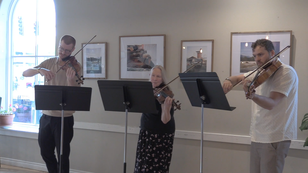 Two violinists and one violist perform a string trio by composer Robert Fuchs inside a coffee shop.