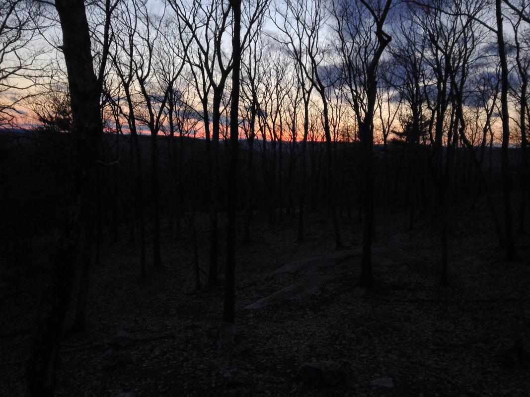 Dimly-lit sky in twilight; a photo taken in the woods looking toward the horizon, mostly blocked by trees.